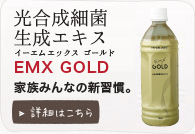 酵素飲料 EMX GOLD 家族みんなの新週間。詳細はこちら