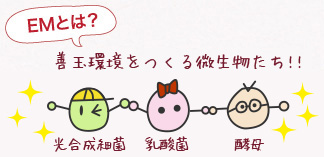 EMとは?発酵力の高い善玉菌の結晶!!