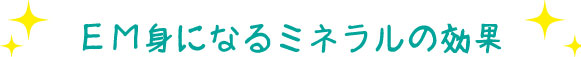 EM身になるミネラルの効果