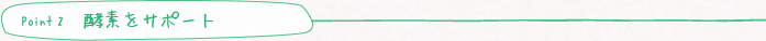 point2 代謝機能をサポート
